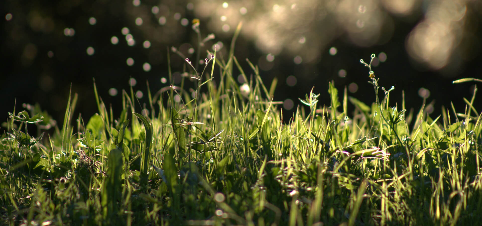 Köszöntünk oldalunkon!