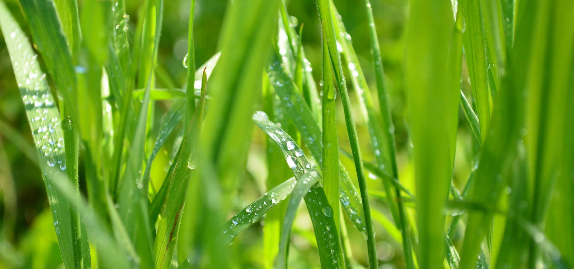 Reméljük személyesen is megismerhetünk