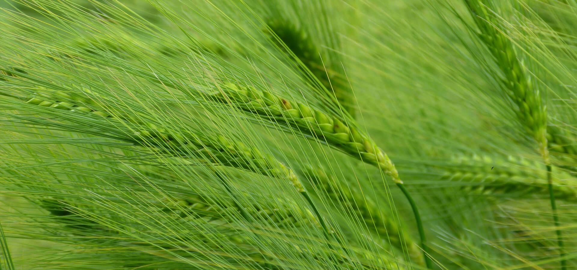 Addig is nézz körül bátran, ha kérdésed van, lépj velünk kapcsolatba